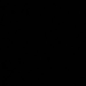 Meet your Posher, Gabriel